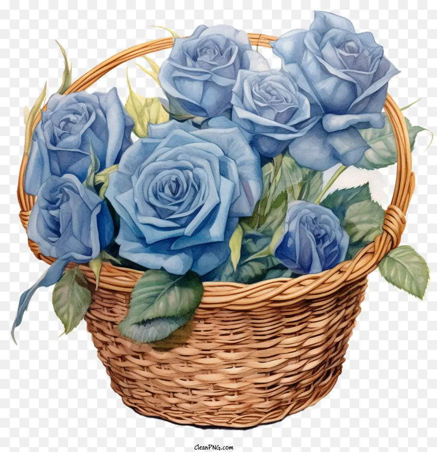 Rose Bleue Aquarelle，Fleurs De Rose Dans Le Panier PNG