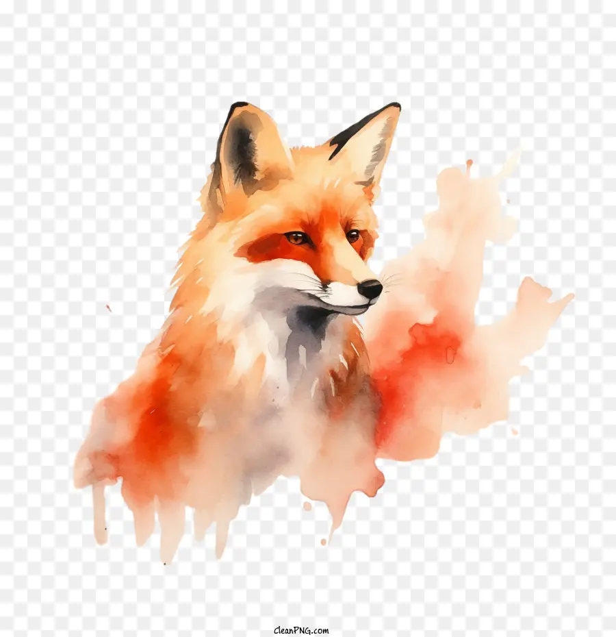 Renard，Renard Aquarelle PNG