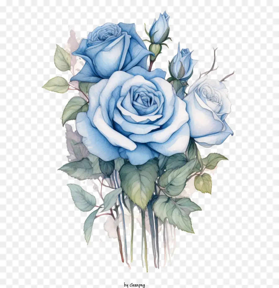 Rose Bleue Aquarelle，Rose Bleue PNG