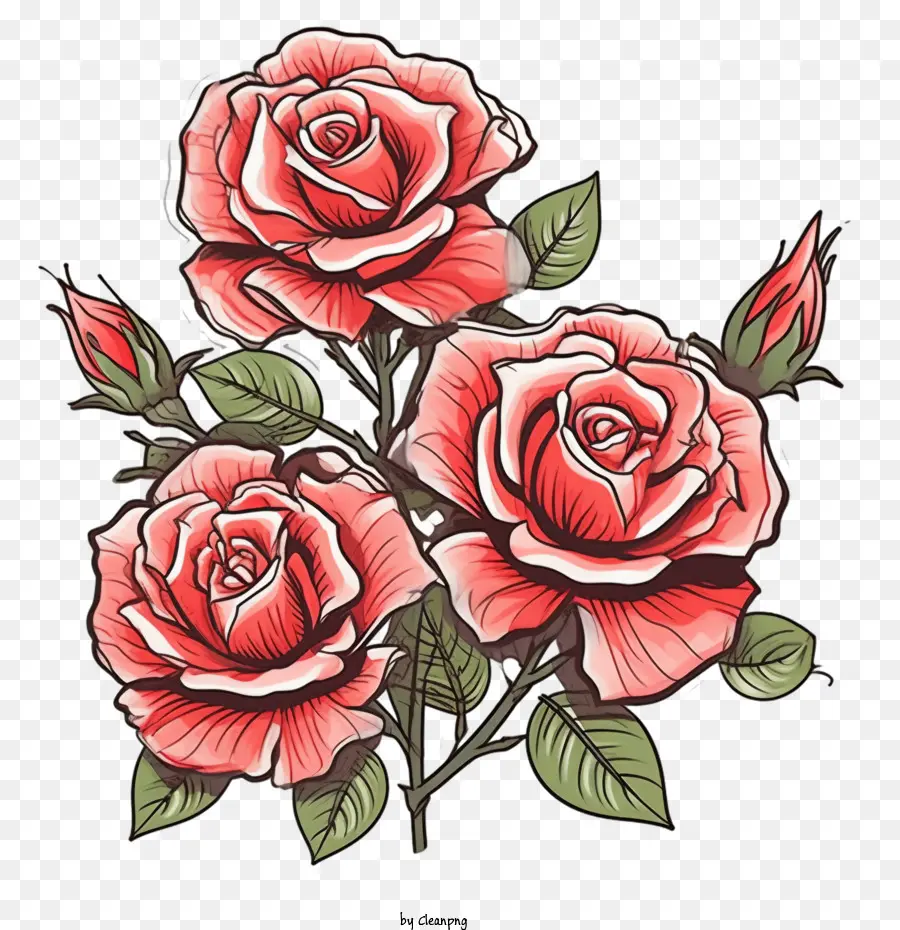 Rose，Roses Rouges PNG