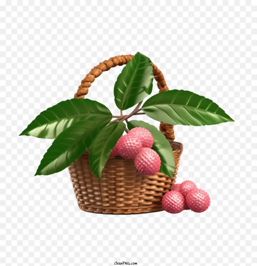 Litchi，Litchi Fruits PNG