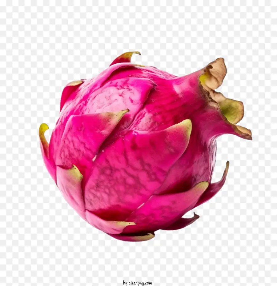 Fruit Du Dragon，Fruit Du Dragon Modèle 3d PNG