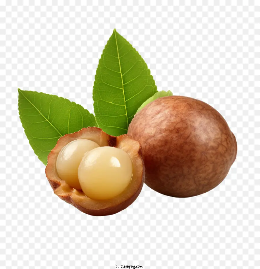 Longane，Noix De Macadamia PNG