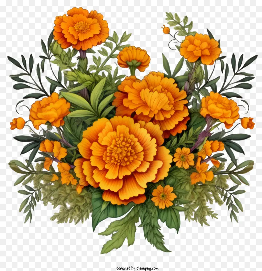 Fleur De Souci，Des Fleurs D'orange PNG