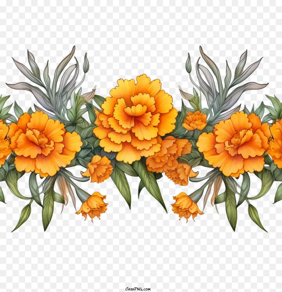 Fleur De Souci，Des Fleurs D'orange PNG