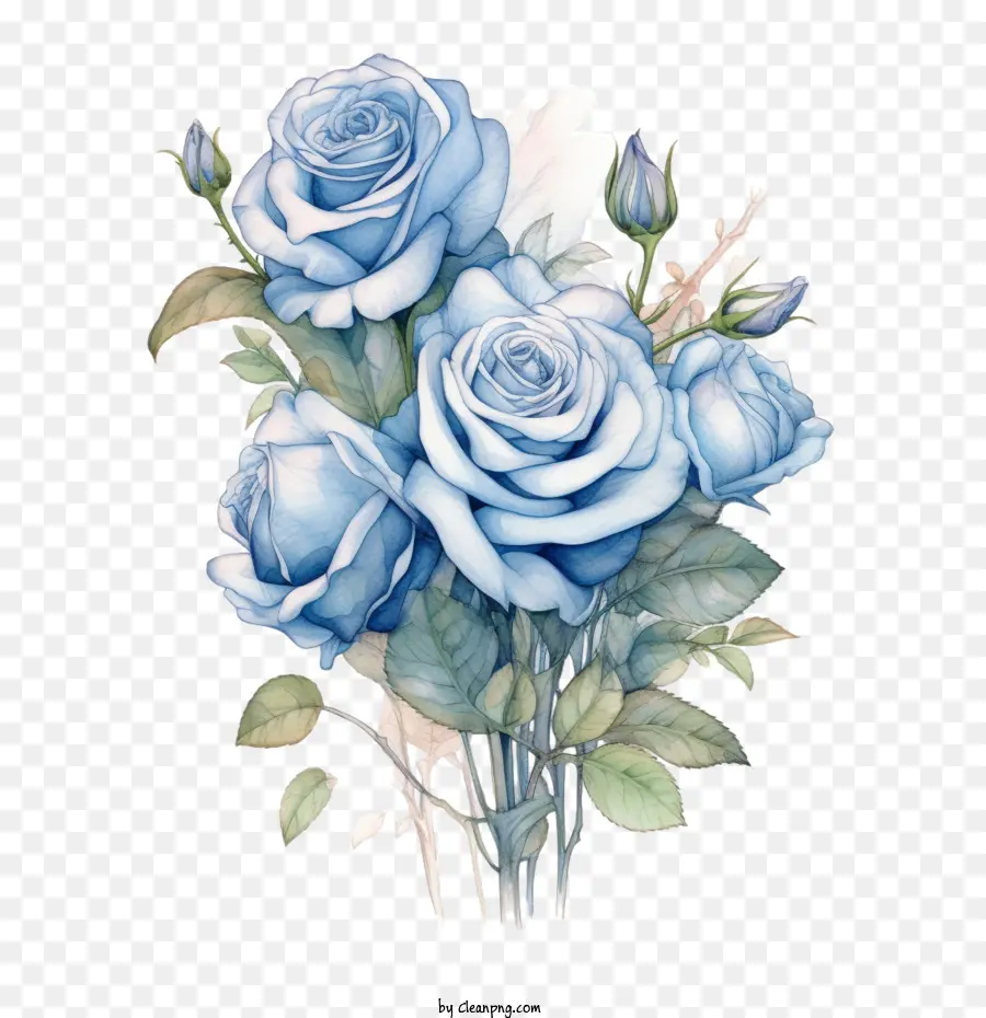 Rose，Rose Bleue PNG