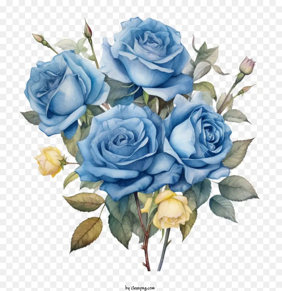 Rose，Rose Bleue PNG