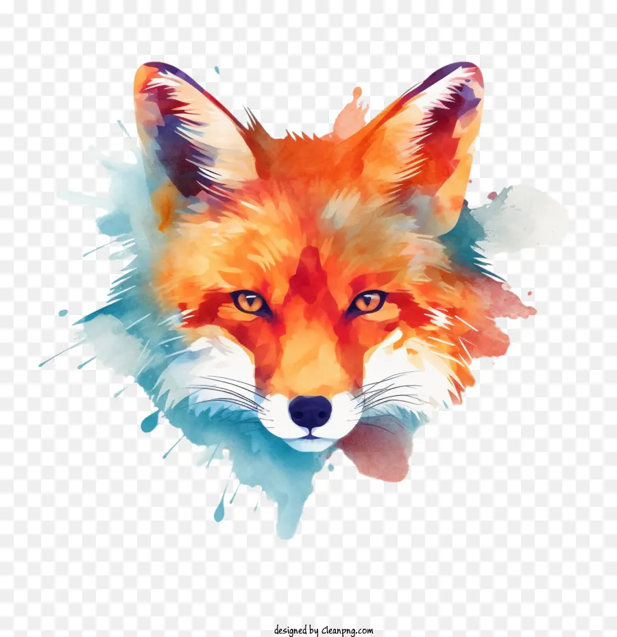 Aquarelle Fox，Fox PNG