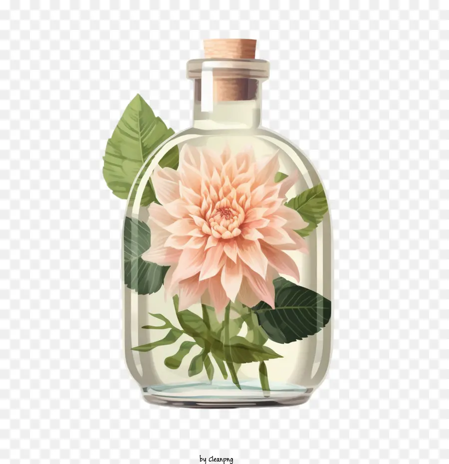 Fleur De Dahlia，Fleur En Bouteille PNG