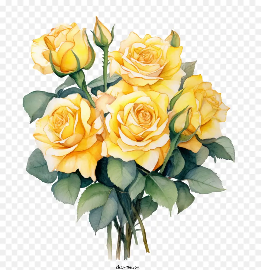 Rose Jaune，Rose PNG