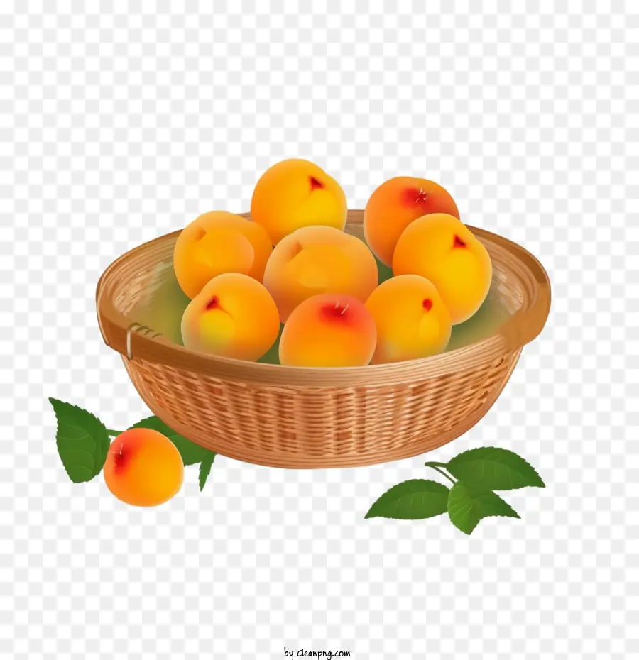 Abricots Fruit， PNG
