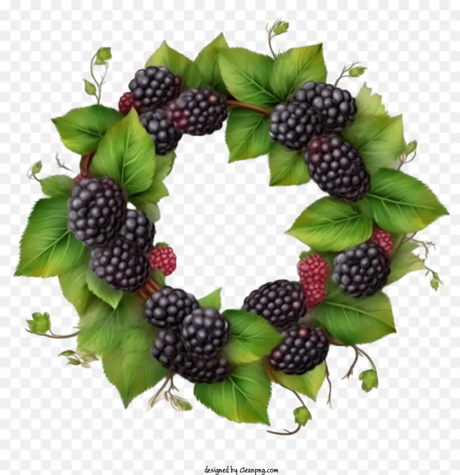 Blackberry，Couronne De Mûre PNG