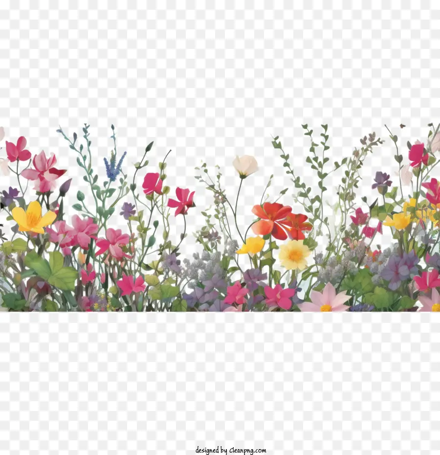 Fleur De Printemps，Bordure Fleurie PNG