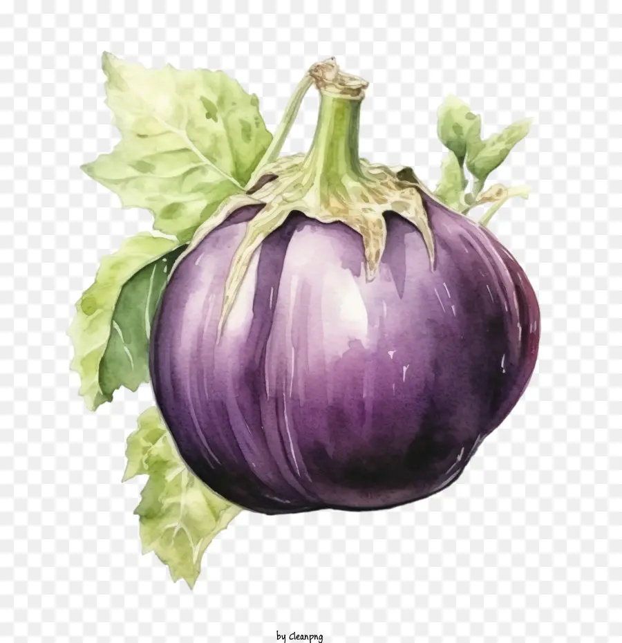 Aubergine，Violet PNG