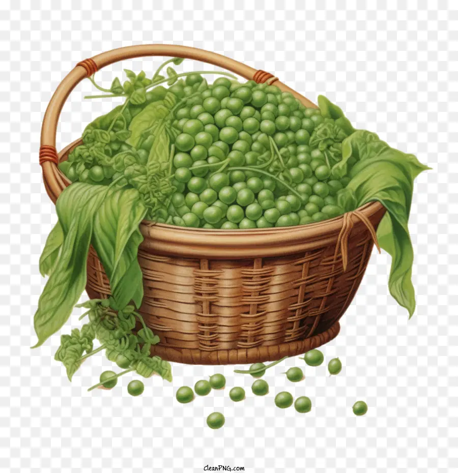 Pois Verts，Panier De Petits Pois PNG