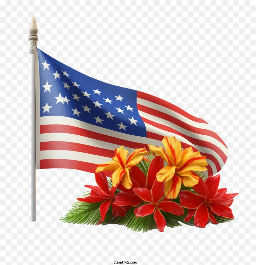 Hawaii，Drapeau Américain PNG