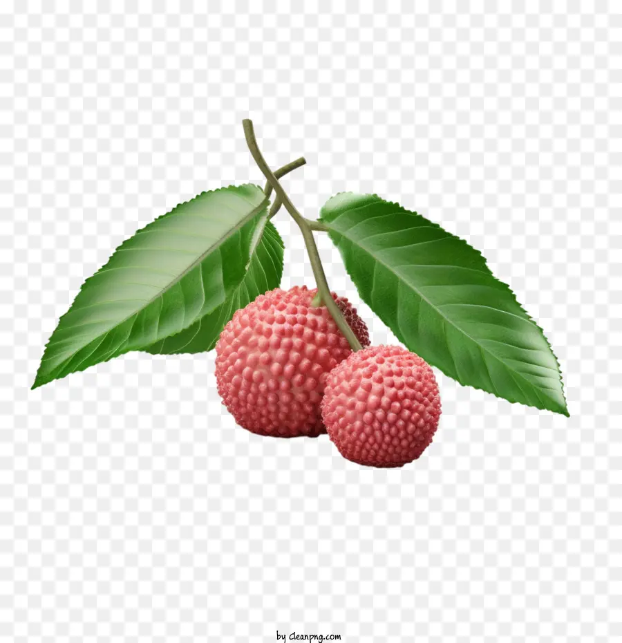 Litchi，Pomme PNG