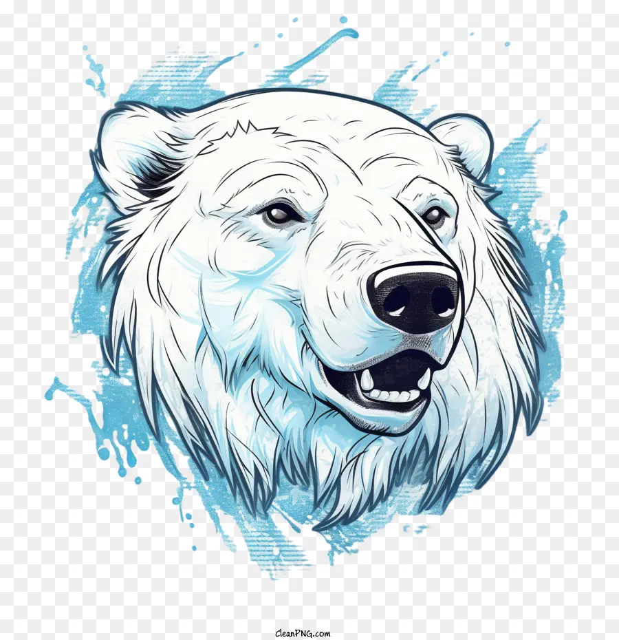 L'ours Polaire，Blanc PNG