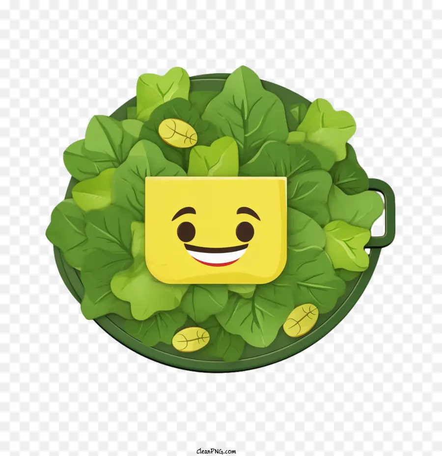 Salade Verte，Salade PNG