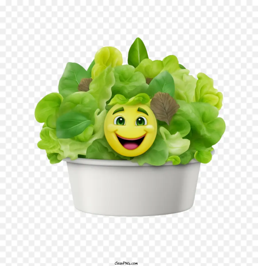 Salade Verte，Sourire PNG