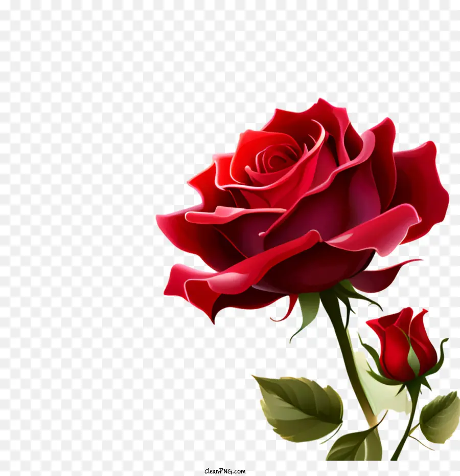 Rose Rouge，Feuilles PNG