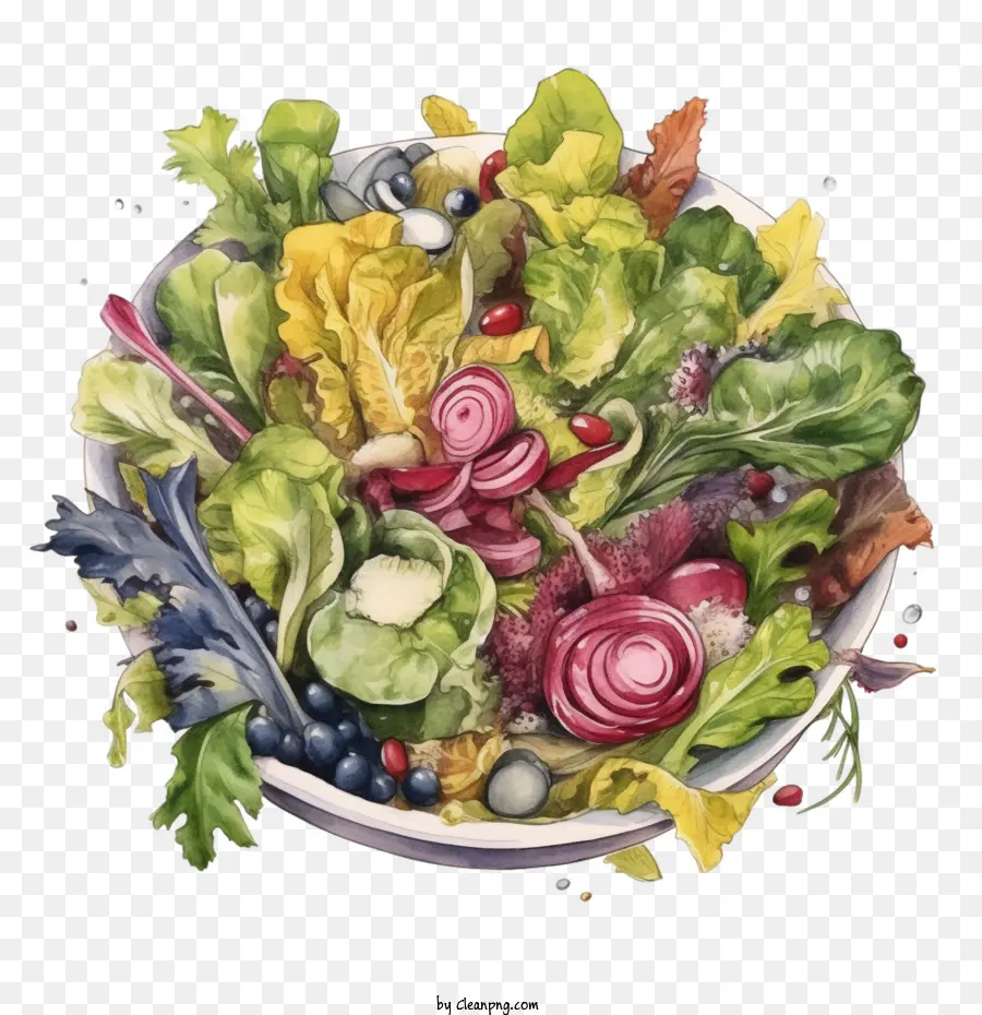 Salade，Légumes PNG