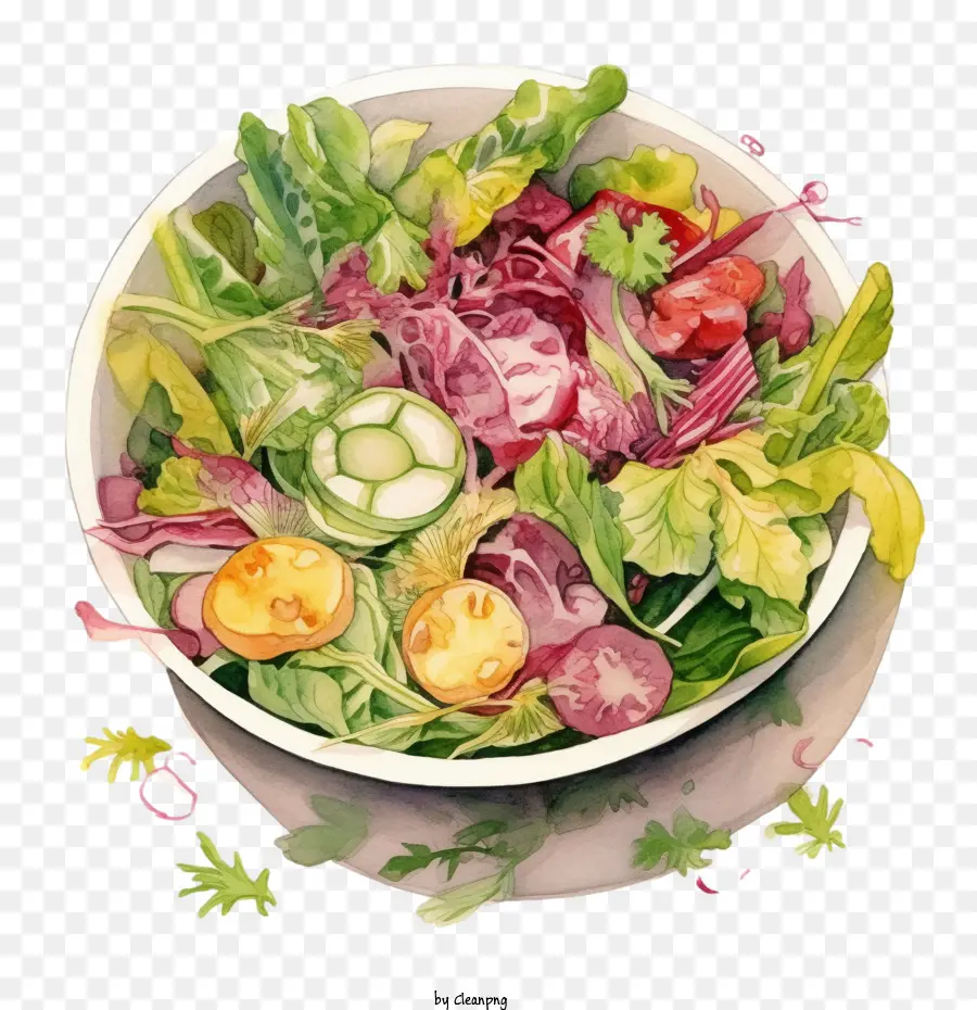 Salade，Salade Colorée PNG