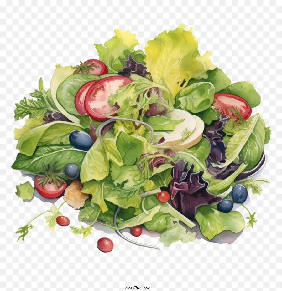 Salade，Légumes PNG