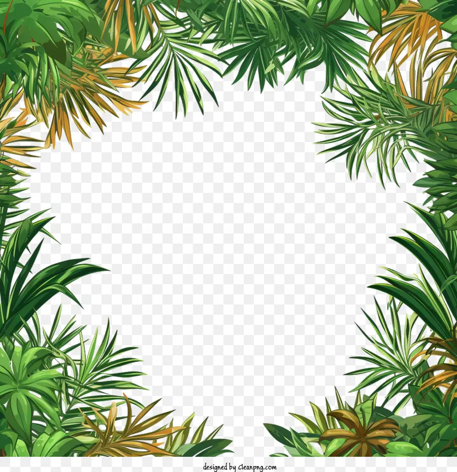 Palmier，Feuilles Tropicales PNG