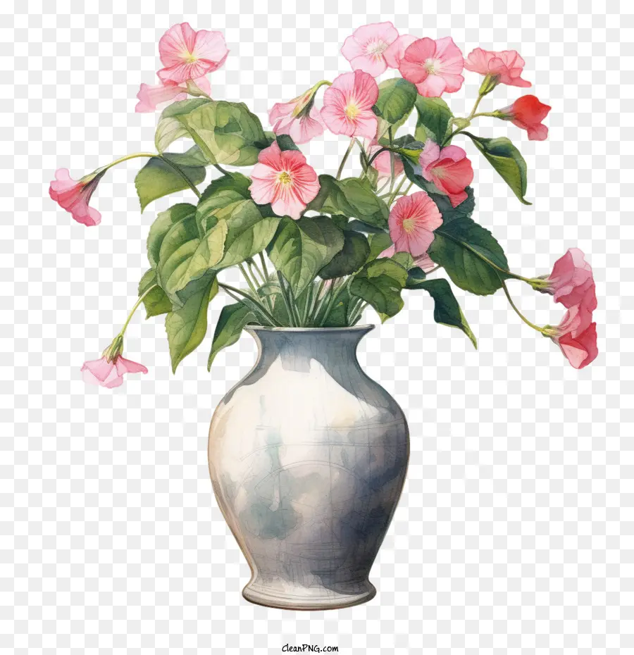 Fleur D'impatiens，Bouquet PNG