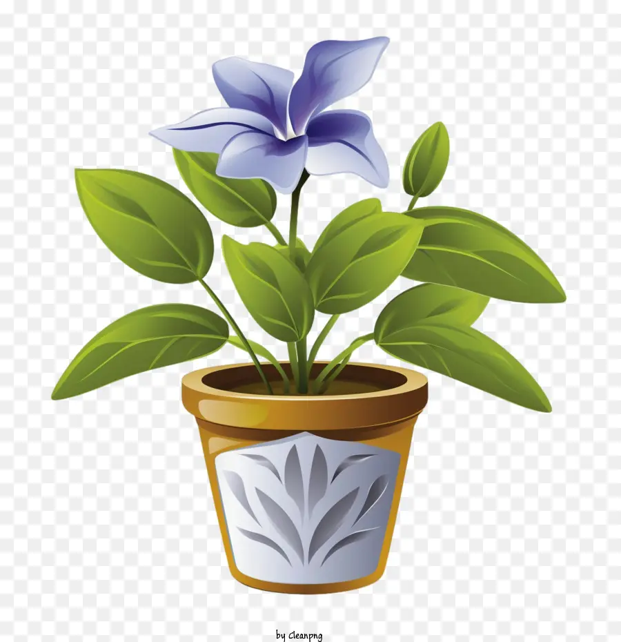 Vinca Fleur，Plante En Pot PNG