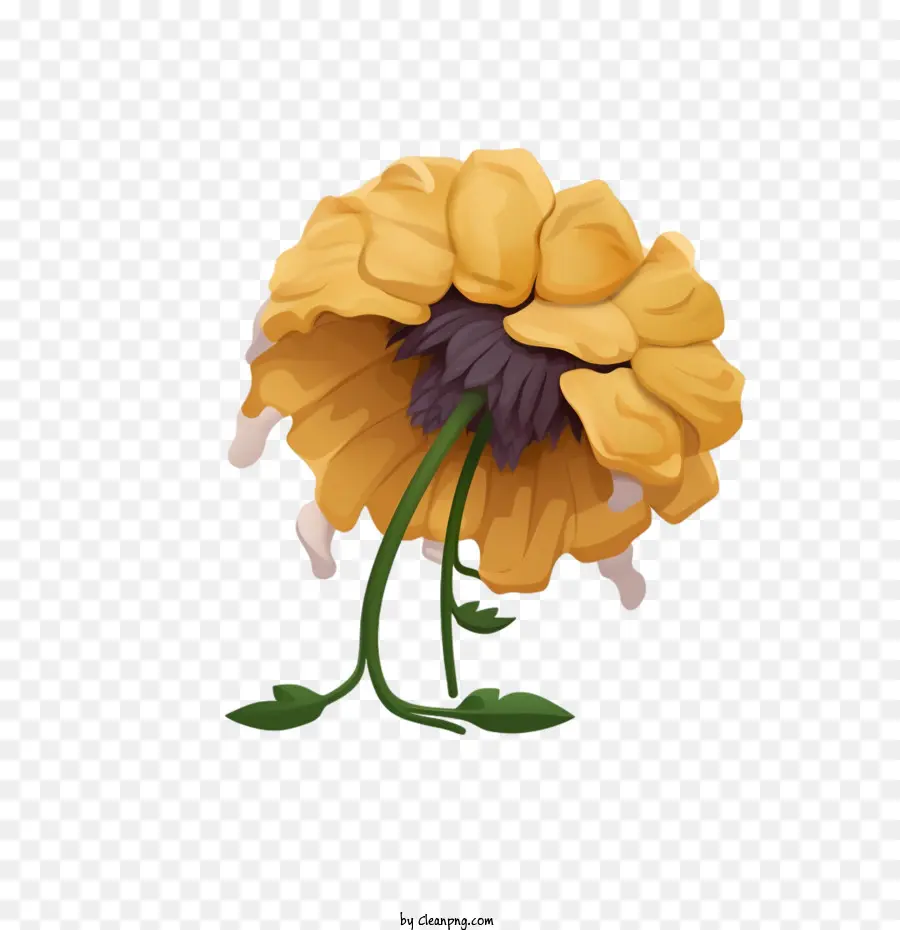 Fleur Fanée，Fleur PNG