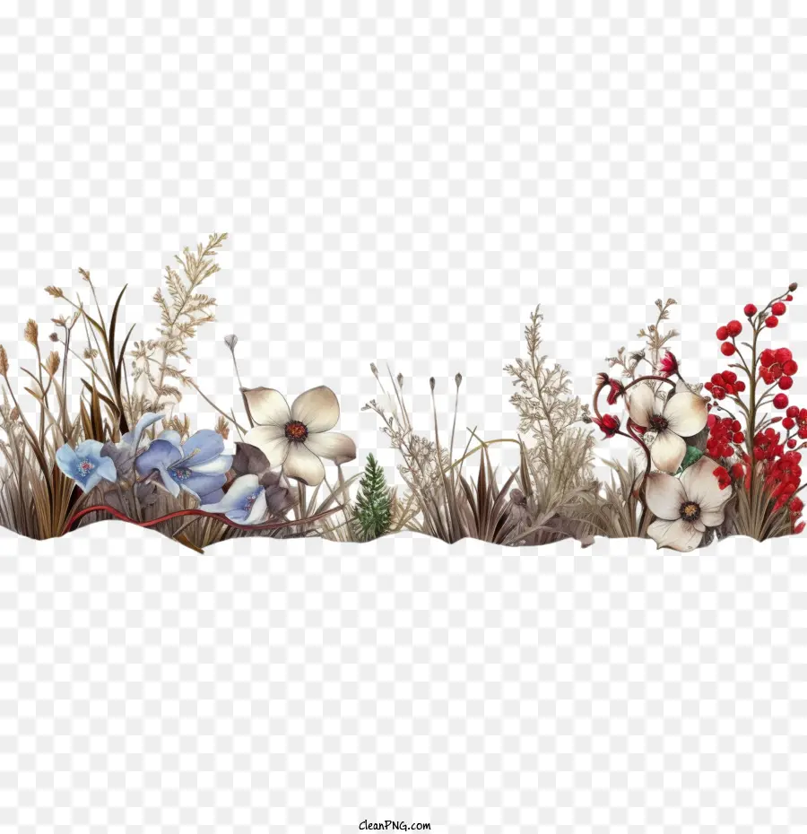 Frontière D'hiver，Bordure De Fleurs PNG