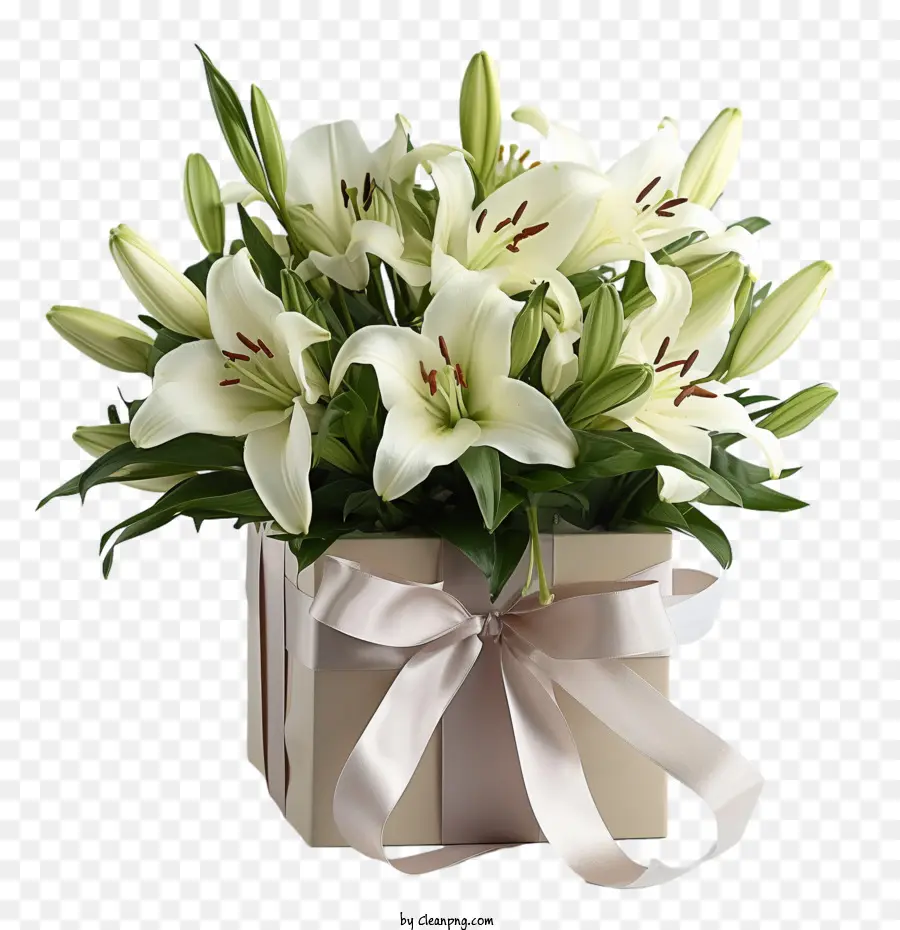 Fleur De Lys，Bouquet De Lys Blancs PNG