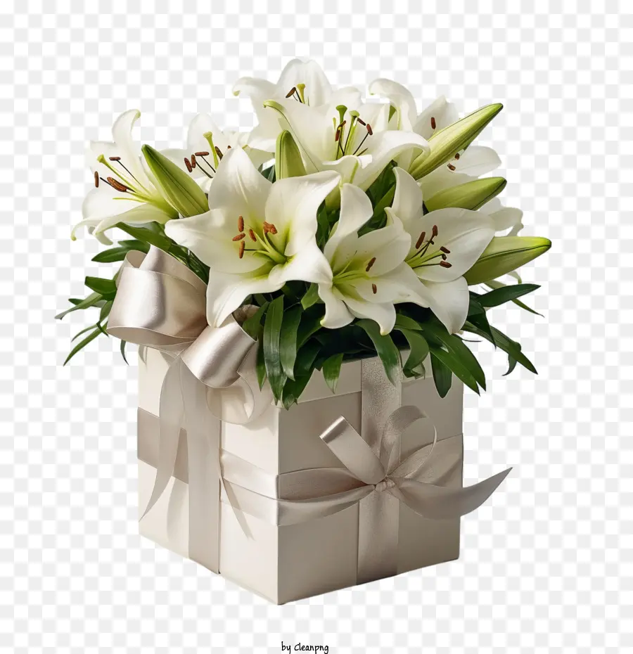 Fleur De Lys，Bouquet De Lys Blancs PNG