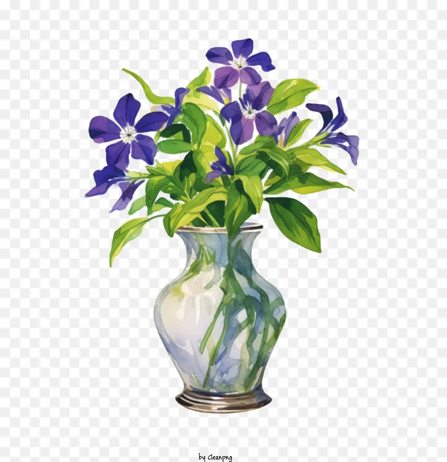 Vinca Fleur，Bleu PNG