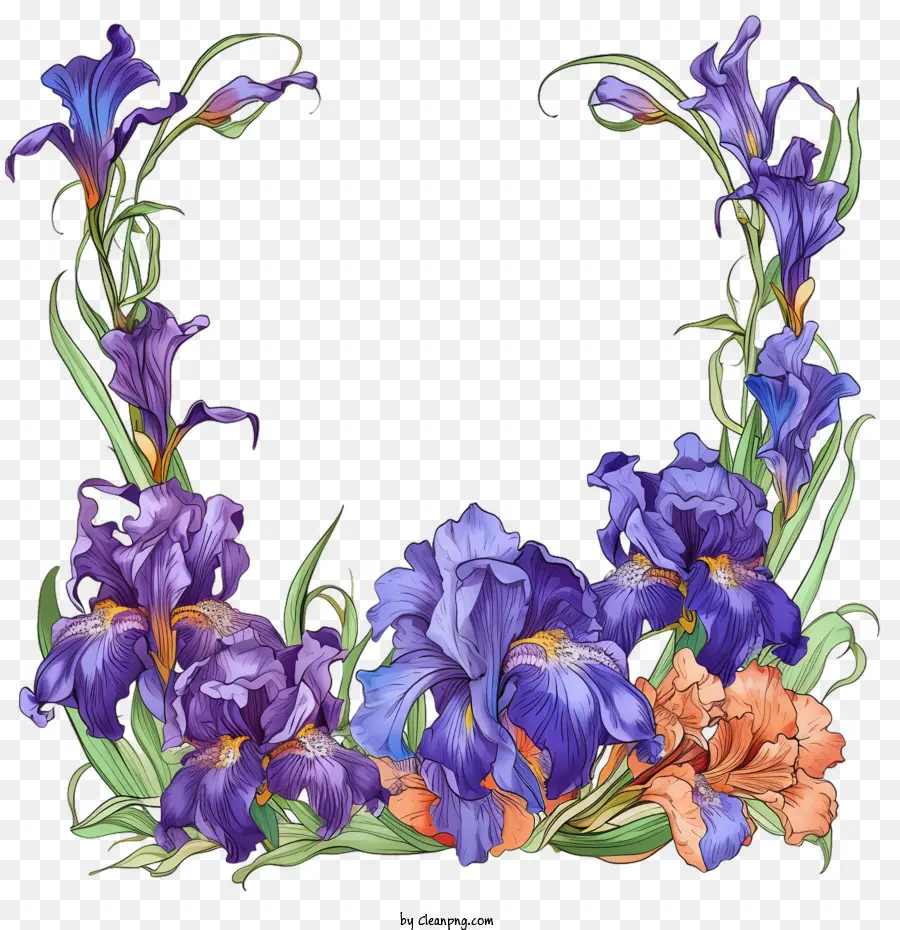 Fleur D'iris，Cadre De Fleurs PNG