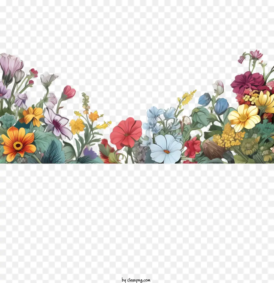 Bordure Fleurie，Fleurs Colorées PNG