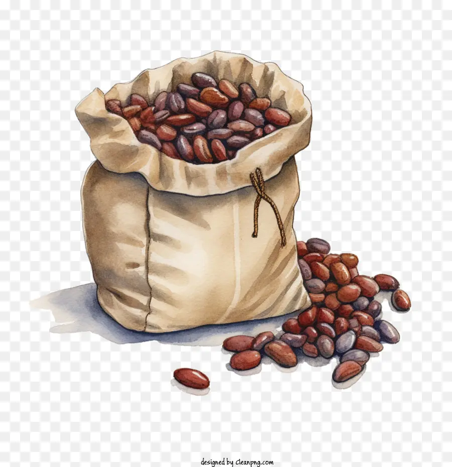 Les Grains De Café，Les Fèves De Cacao PNG