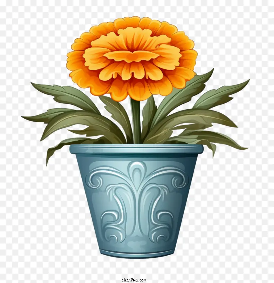 Fleur De Souci，Fleur En Pot PNG