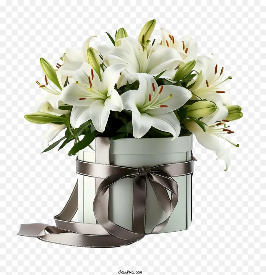 Fleur De Lys，Bouquet De Lys Blancs PNG