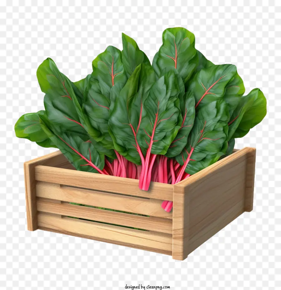 Bettes，Légumes PNG