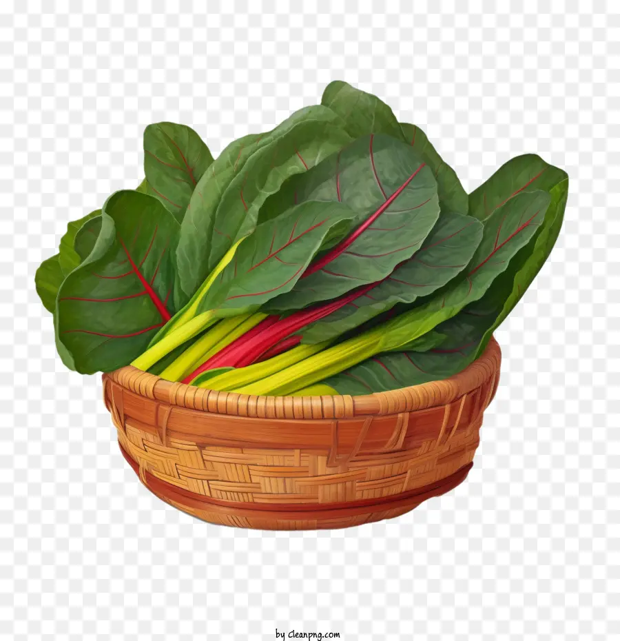 Bettes，Légumes PNG