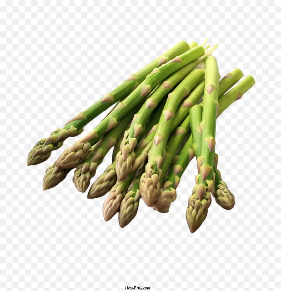 Asperge，Vert PNG