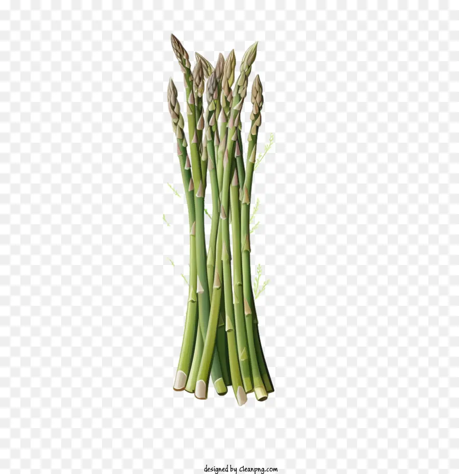 Asperges，Vert PNG