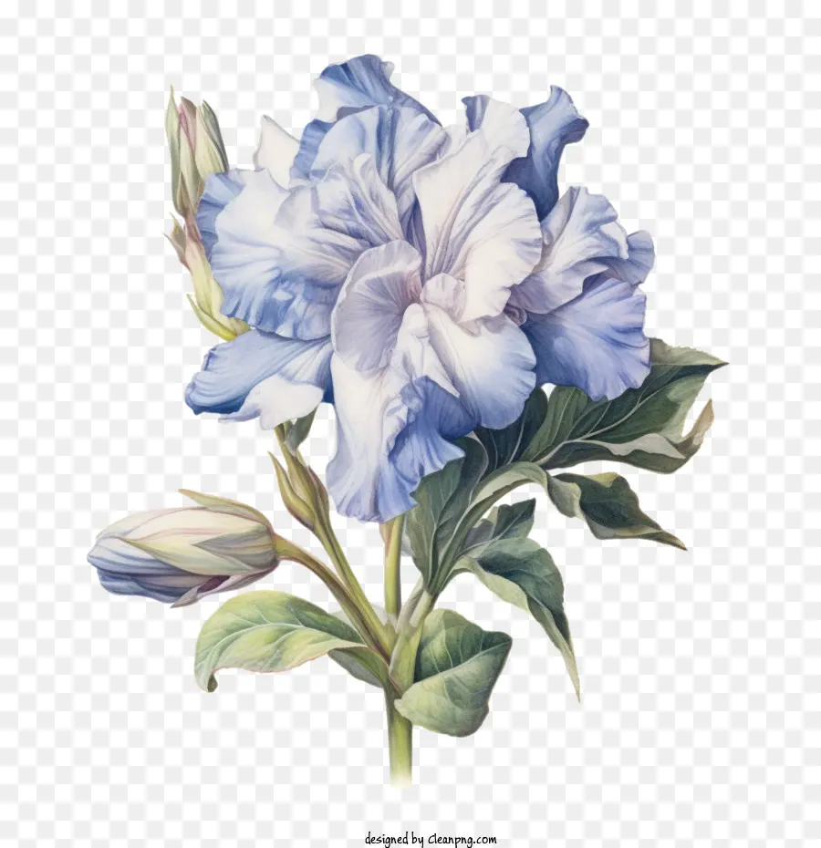 Fleur Emoji，Bouquet PNG