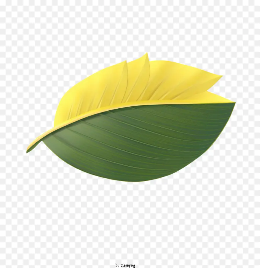 Feuille De Bananier，Feuille Bicolore PNG