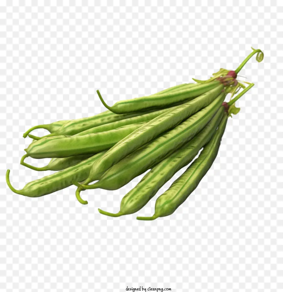 Haricots Verts，Frais PNG