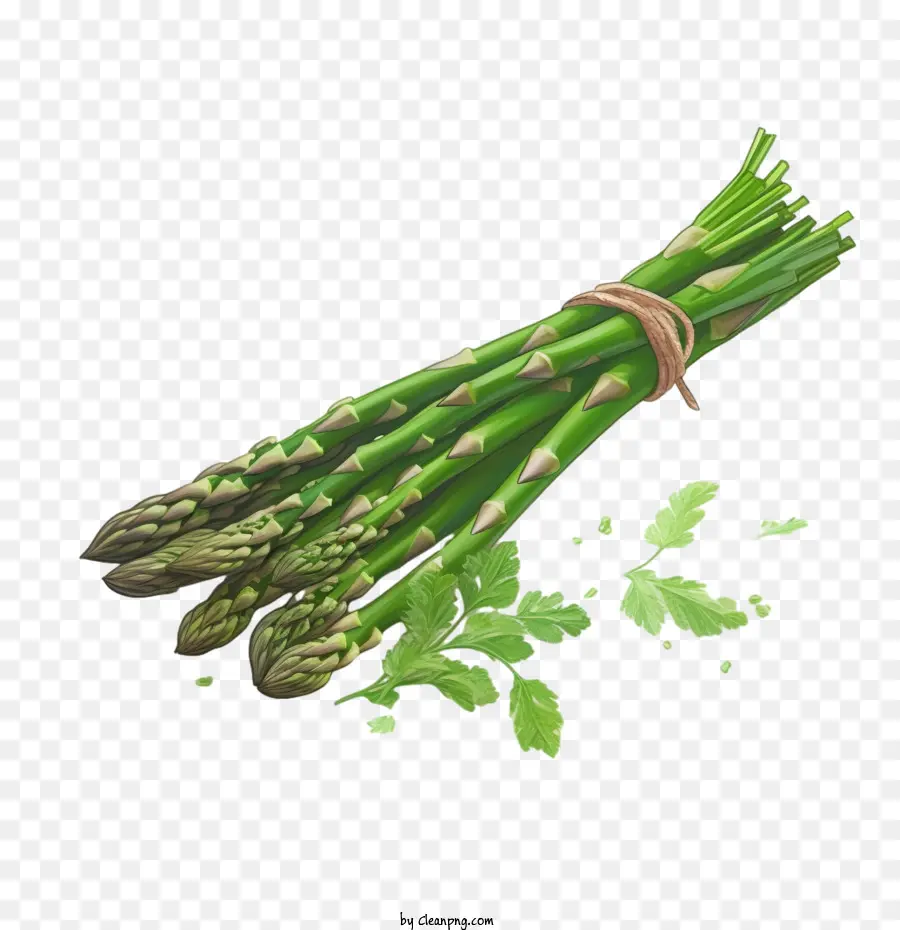 Asperge，Vert PNG