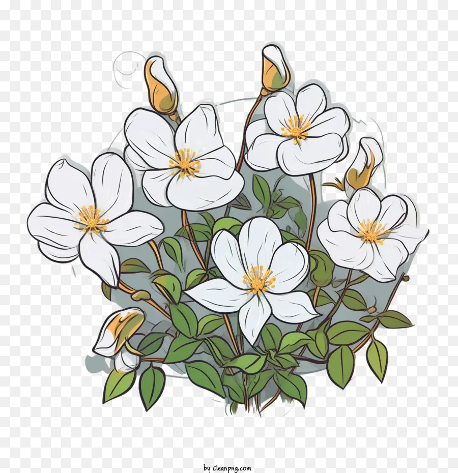 Fleur De Jasmin，Fleurs Blanches PNG